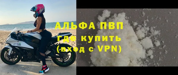 хмурый Бородино
