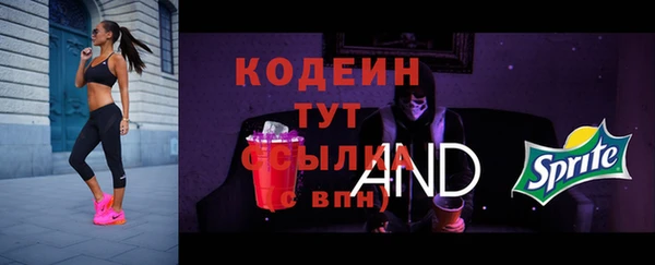хмурый Бородино