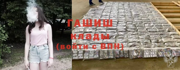 хмурый Бородино