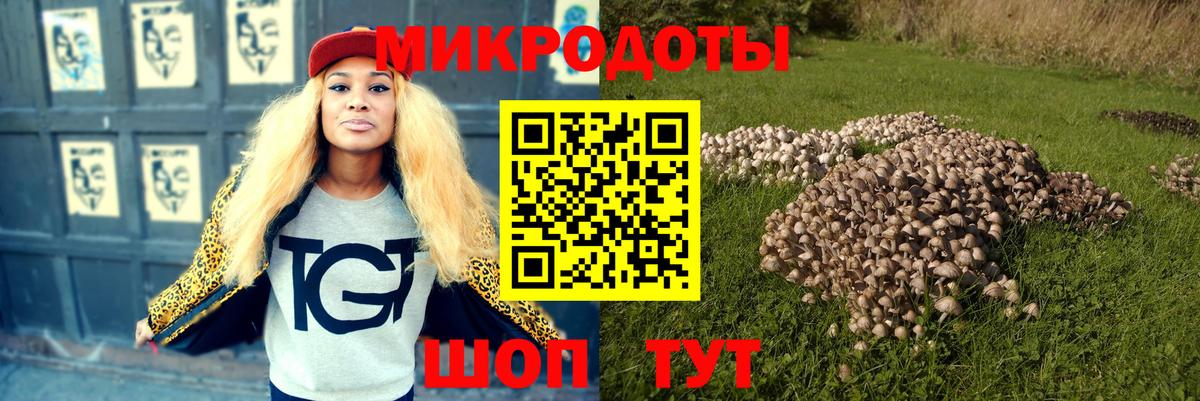 Псилоцибиновые грибы Cubensis Улан-Удэ