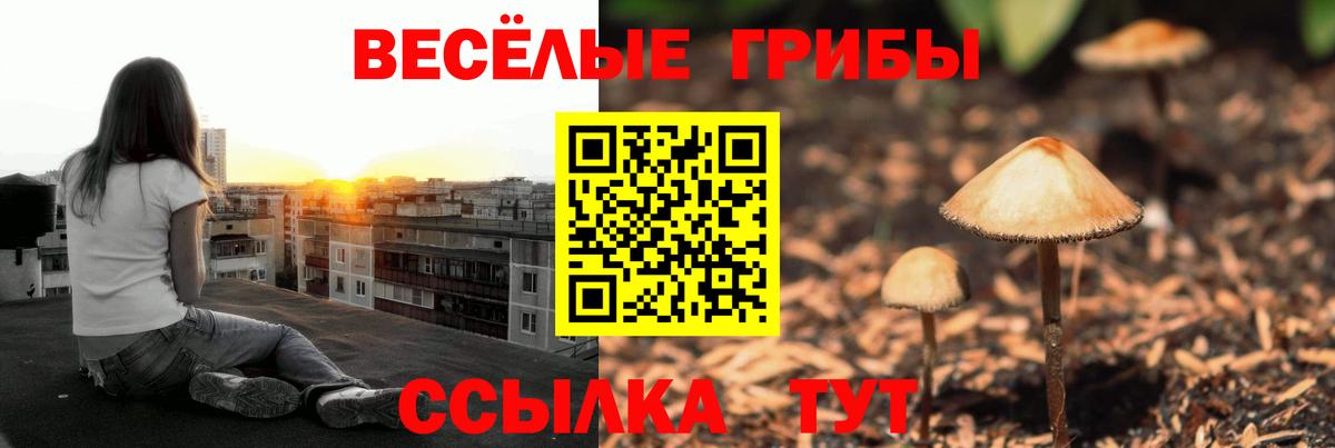 Улан-Удэ  Псилоцибиновые грибы ЛСД  Вход с VPN 